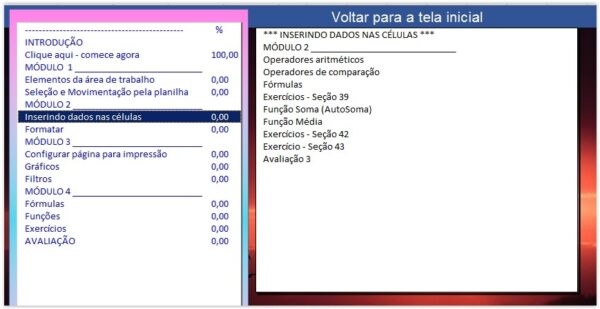 Curso de Excel Básico a distância