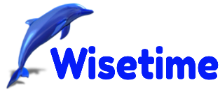 Logo_Wisetime